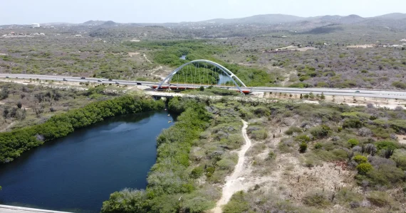 Spanish Lagoon Mangrove Trail with Bird Watching1
